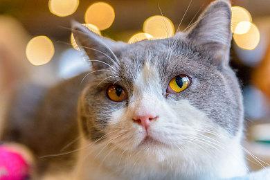 《TAKE BOMB: The suit take off》Steam页面上线 2025发售